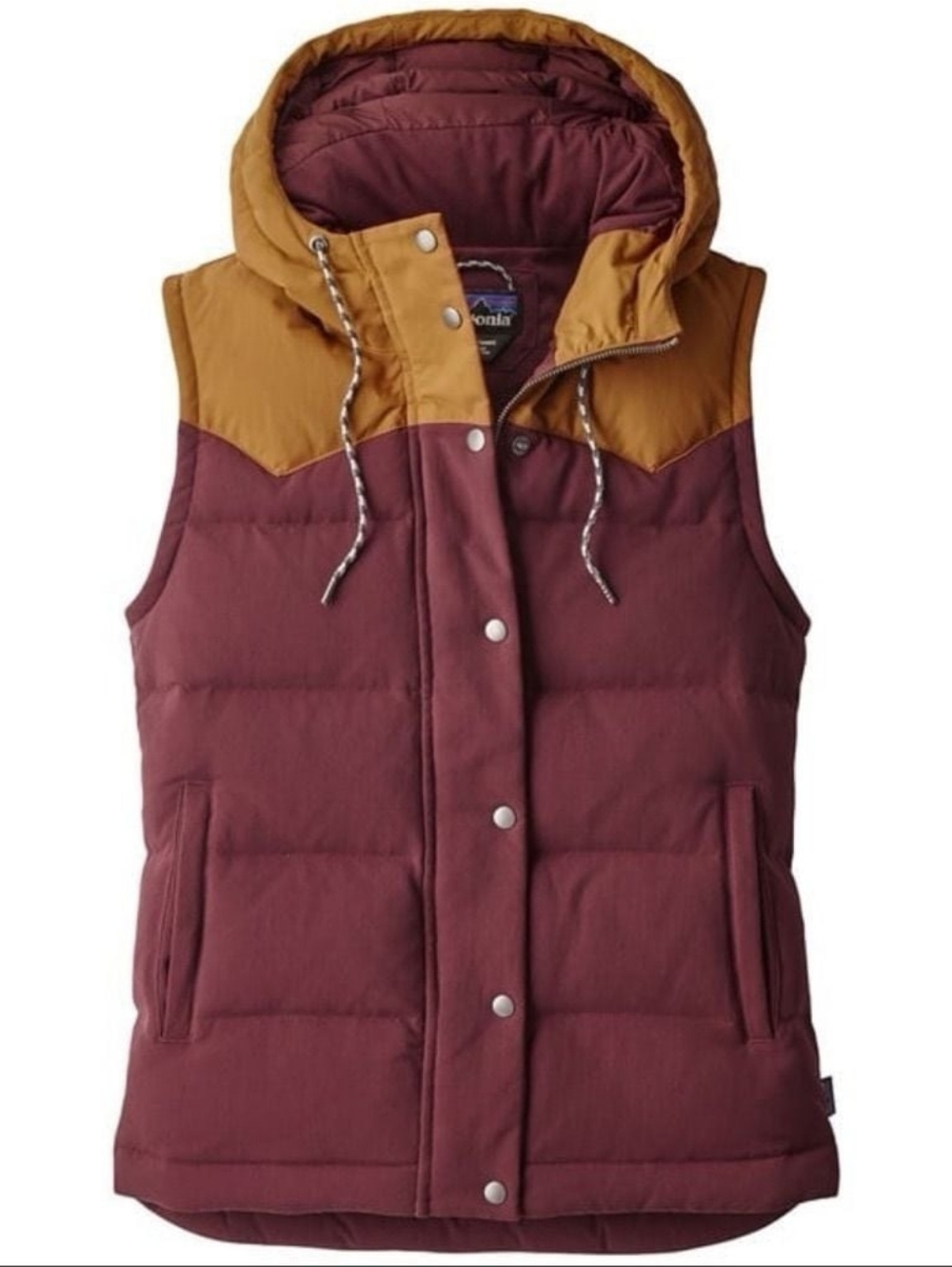 Patagonia Two-Tone Hooded Vest